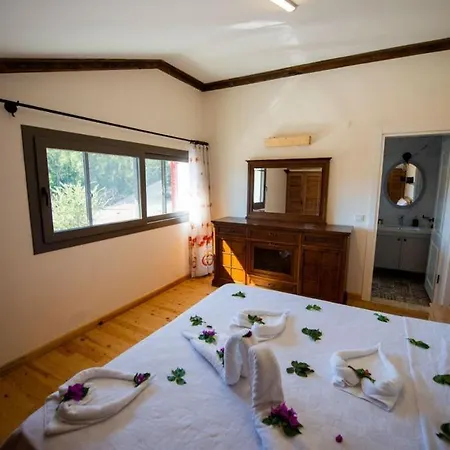 Fethiye Kayakoey'De Oezel Havuzlu 10 Kisilik Villa Nazen *